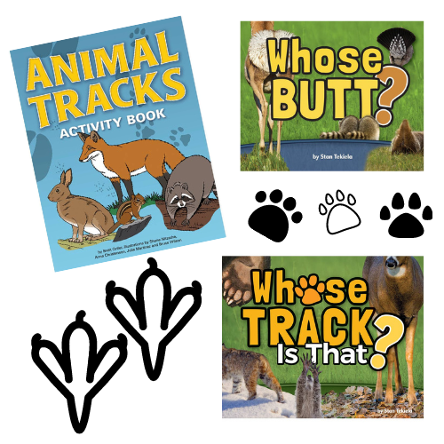 Animal Tracks Activity Book Set – The Sensory Site