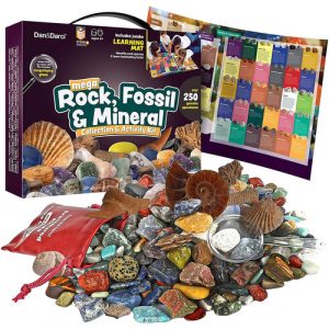 rock fossil mineral science kit