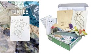 Sea Turtle Art kit
